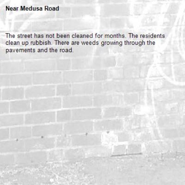 The street has not been cleaned for months. The residents clean up rubbish. There are weeds growing through the pavements and the road.-Medusa Road