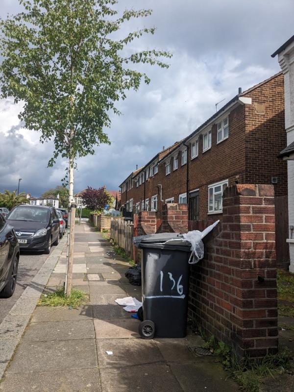 Polystyrene strewn up street from over filled bin-138 George Lane, Hither Green, London, SE13 6HW