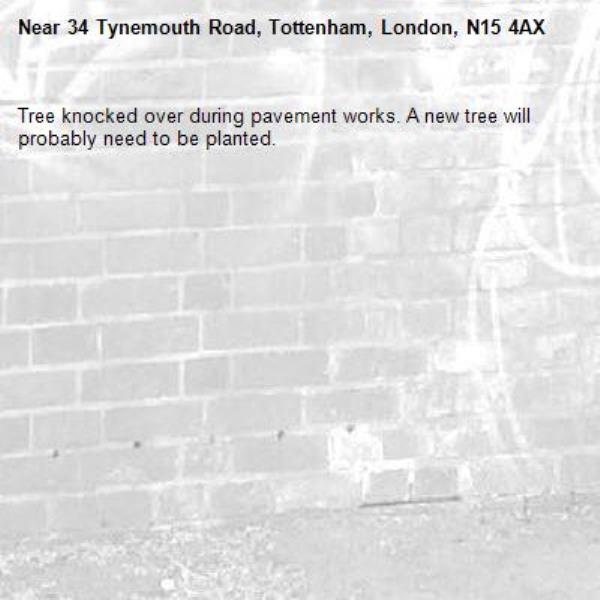 Tree knocked over during pavement works. A new tree will probably need to be planted.-34 Tynemouth Road, Tottenham, London, N15 4AX