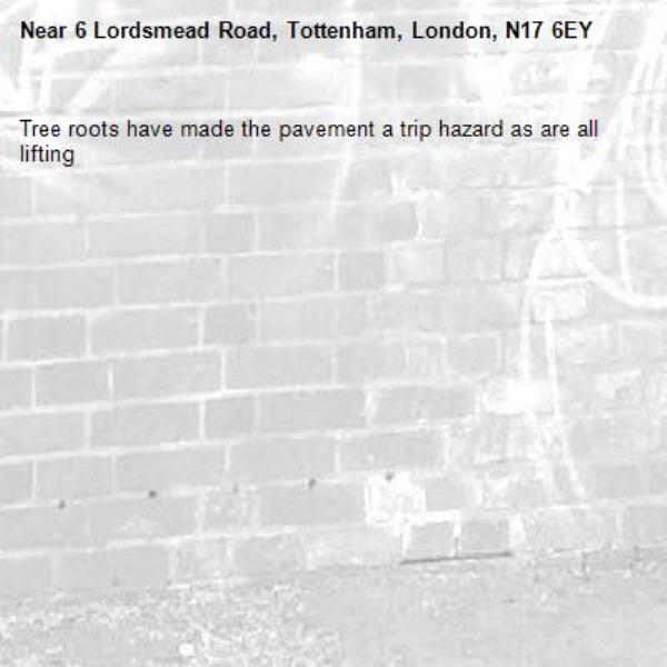 Tree roots have made the pavement a trip hazard as are all lifting -6 Lordsmead Road, Tottenham, London, N17 6EY