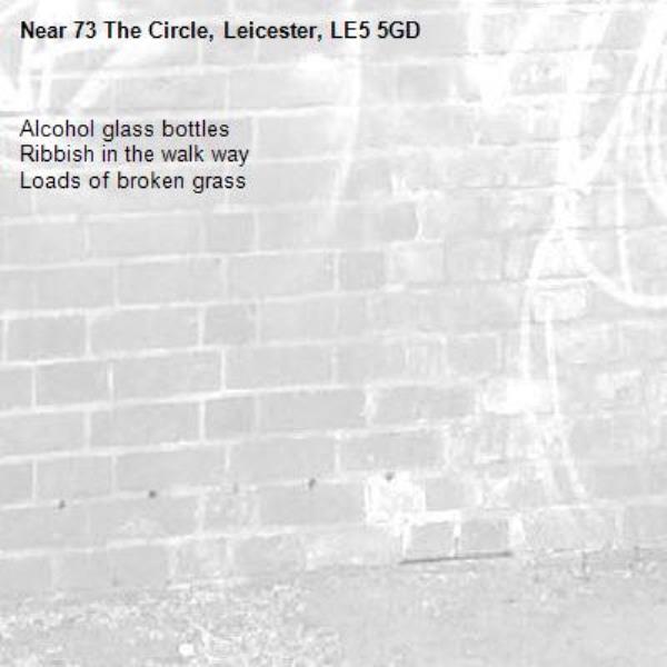 Alcohol glass bottles 
Ribbish in the walk way 
Loads of broken grass -73 The Circle, Leicester, LE5 5GD