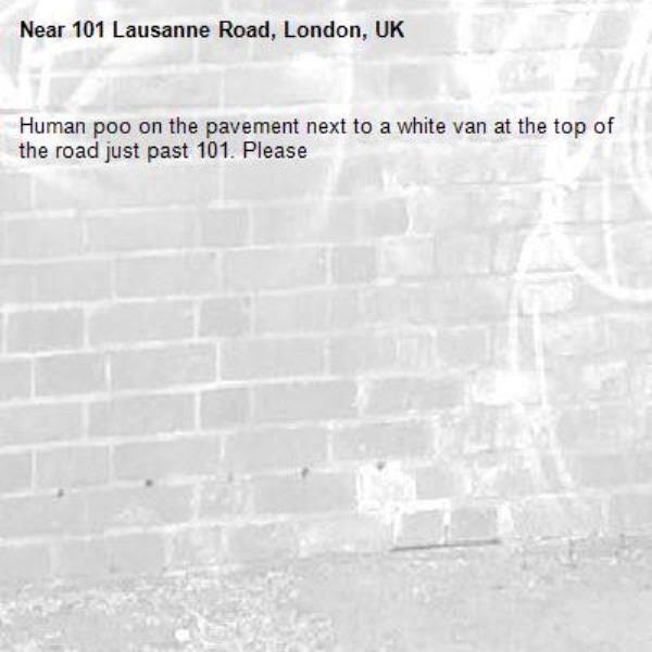 Human poo on the pavement next to a white van at the top of the road just past 101. Please -101 Lausanne Road, London, UK