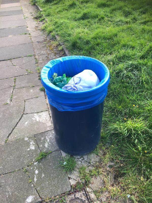 Outside Elwyn Gardens. Please empty litter bin-33 Corona Road, London, SE12 9LS