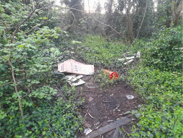 Load of flytipping on the embankment leading up to the ring road, accessed from the footpath off Hockley Farm Road on eastern side of Braunstone Way. -90 Hockley Farm Road, Leicester, LE3 1HH