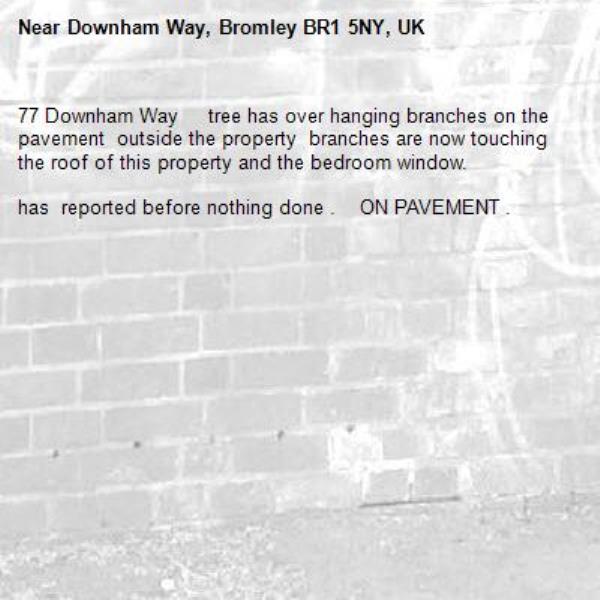 77 Downham Way     tree has over hanging branches on the pavement  outside the property  branches are now touching   the roof of this property and the bedroom window.

has  reported before nothing done .    ON PAVEMENT .-Downham Way, Bromley BR1 5NY, UK