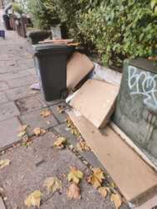 Please clear flytipped cardboard boxes-21 Devonshire road