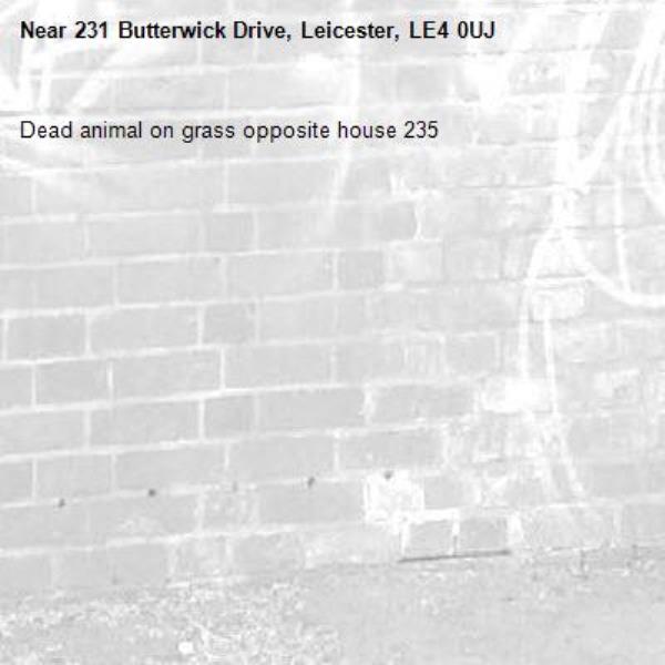 Dead animal on grass opposite house 235-231 Butterwick Drive, Leicester, LE4 0UJ