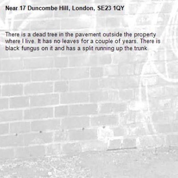 There is a dead tree in the pavement outside the property where I live. It has no leaves for a couple of years. There is black fungus on it and has a split running up the trunk. -17 Duncombe Hill, London, SE23 1QY