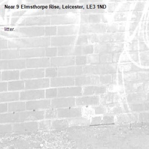 litter.-9 Elmsthorpe Rise, Leicester, LE3 1ND