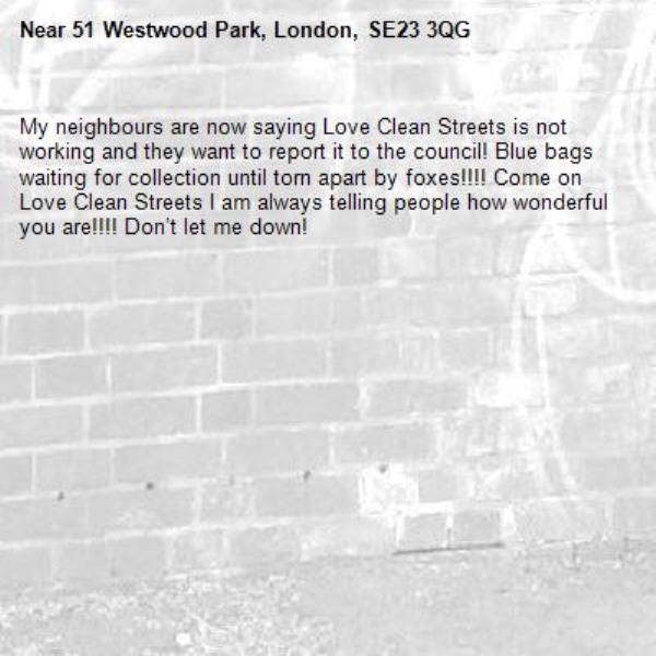 My neighbours are now saying Love Clean Streets is not working and they want to report it to the council! Blue bags waiting for collection until torn apart by foxes!!!! Come on Love Clean Streets I am always telling people how wonderful you are!!!! Don’t let me down! -51 Westwood Park, London, SE23 3QG