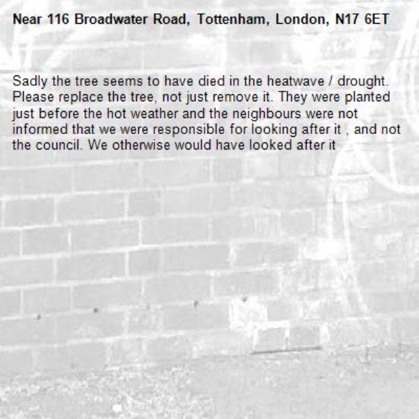 Sadly the tree seems to have died in the heatwave / drought. Please replace the tree, not just remove it. They were planted just before the hot weather and the neighbours were not informed that we were responsible for looking after it , and not the council. We otherwise would have looked after it -116 Broadwater Road, Tottenham, London, N17 6ET