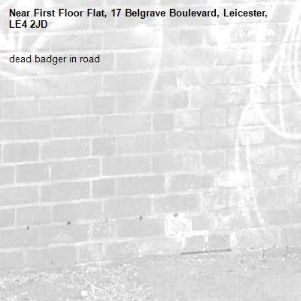 dead badger in road-First Floor Flat, 17 Belgrave Boulevard, Leicester, LE4 2JD