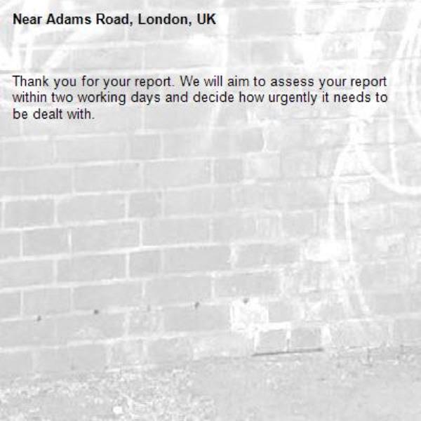 Thank you for your report. We will aim to assess your report within two working days and decide how urgently it needs to be dealt with.-Adams Road, London, UK