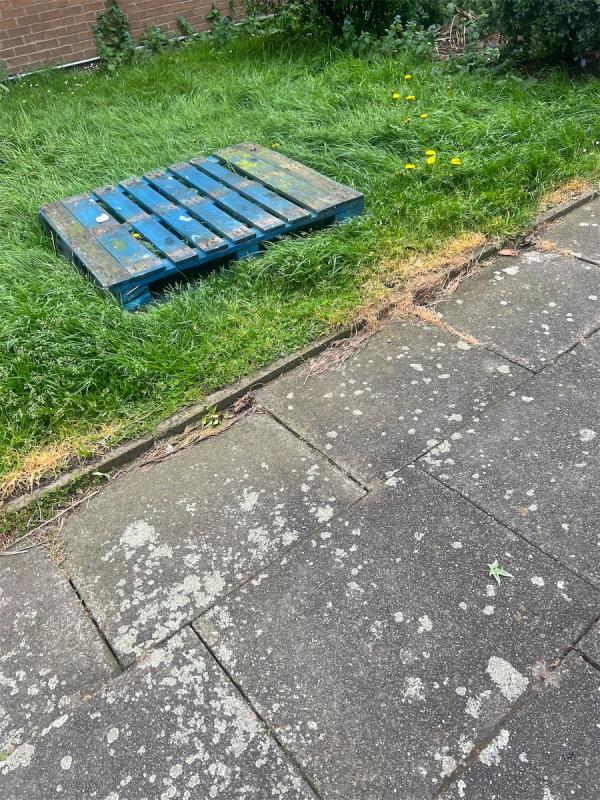 Newham van has dumped a blue pallet on McGrath road on the green area please can this be removed -70 Mcgrath Road, Stratford, London, E15 4SS