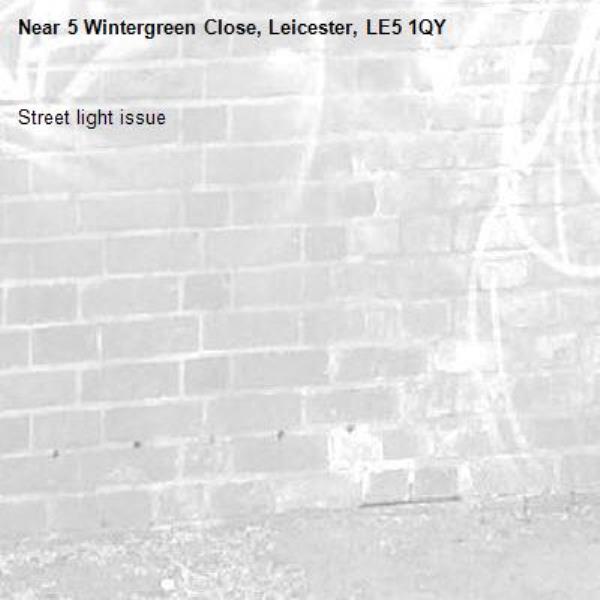 Street light issue -5 Wintergreen Close, Leicester, LE5 1QY