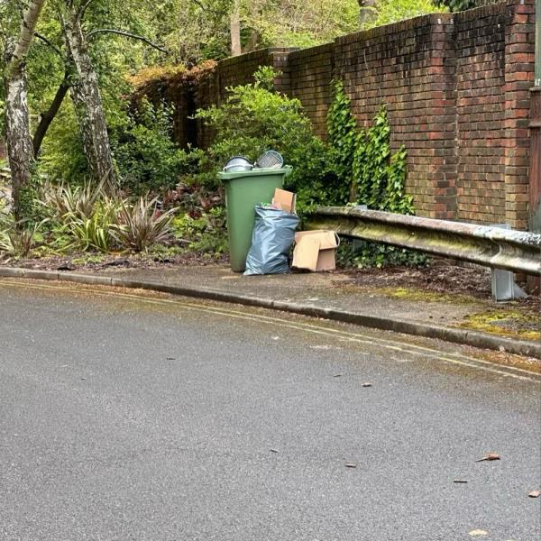 There has been some fly tipping here along with a wheelie bin-Hurren Close, Blackheath, London