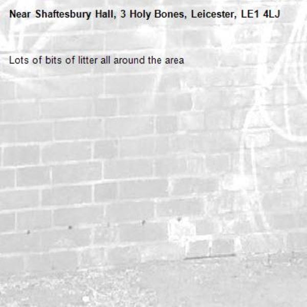 Lots of bits of litter all around the area-Shaftesbury Hall, 3 Holy Bones, Leicester, LE1 4LJ