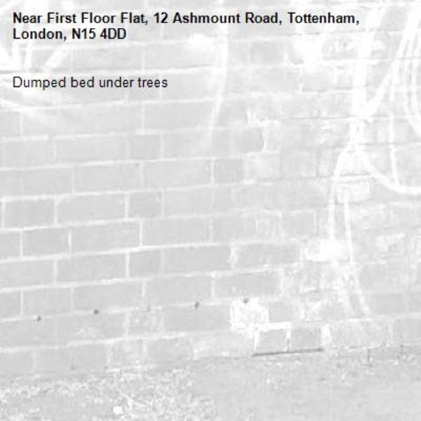 Dumped bed under trees-First Floor Flat, 12 Ashmount Road, Tottenham, London, N15 4DD