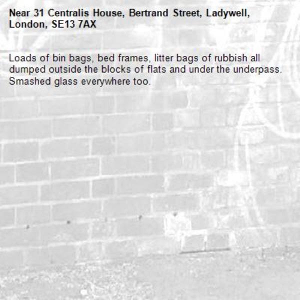 Loads of bin bags, bed frames, litter bags of rubbish all dumped outside the blocks of flats and under the underpass. Smashed glass everywhere too. -31 Centralis House, Bertrand Street, Ladywell, London, SE13 7AX