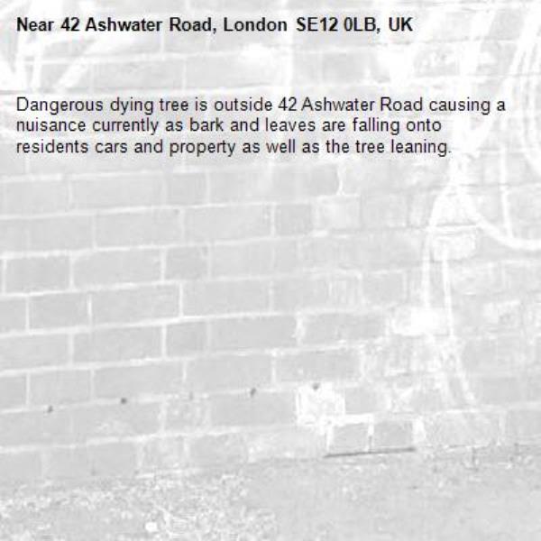 Dangerous dying tree is outside 42 Ashwater Road causing a nuisance currently as bark and leaves are falling onto residents cars and property as well as the tree leaning. -42 Ashwater Road, London SE12 0LB, UK