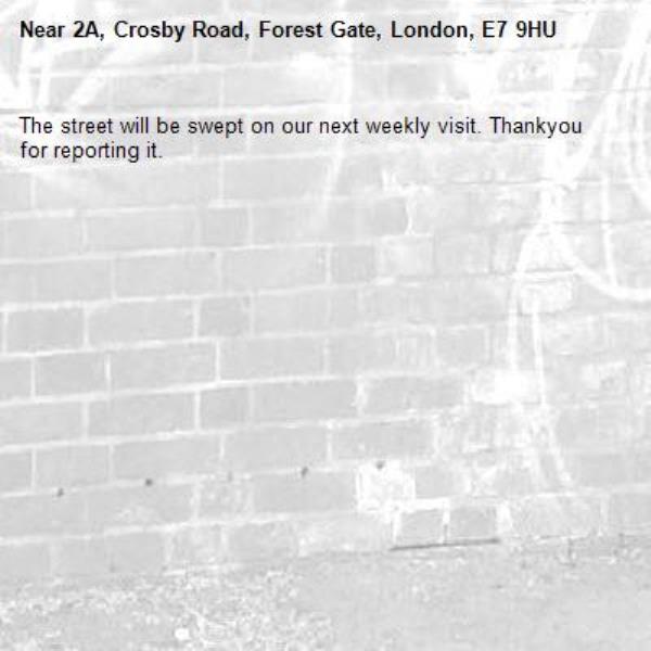 The street will be swept on our next weekly visit. Thankyou for reporting it.-2A, Crosby Road, Forest Gate, London, E7 9HU