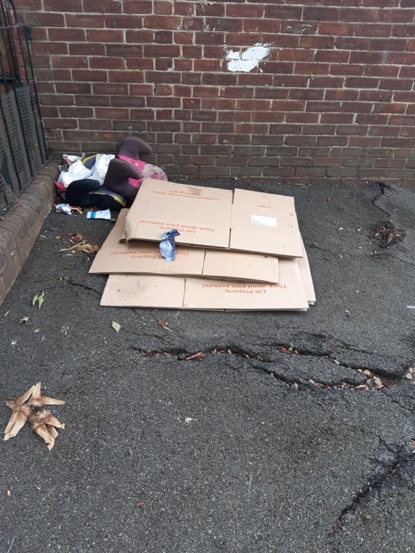 Cardboard boxes and a baby carseat dumped near the tree outside 12 Boreham Avenue junction with Gill Avenue E16 -12 Boreham Avenue, Canning Town, E16 3AG