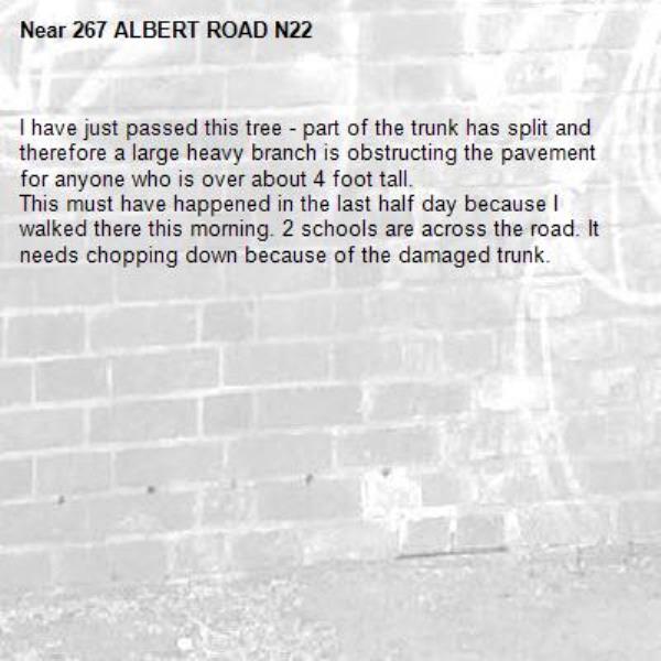 I have just passed this tree - part of the trunk has split and therefore a large heavy branch is obstructing the pavement for anyone who is over about 4 foot tall.
This must have happened in the last half day because I walked there this morning. 2 schools are across the road. It needs chopping down because of the damaged trunk.-267 ALBERT ROAD N22