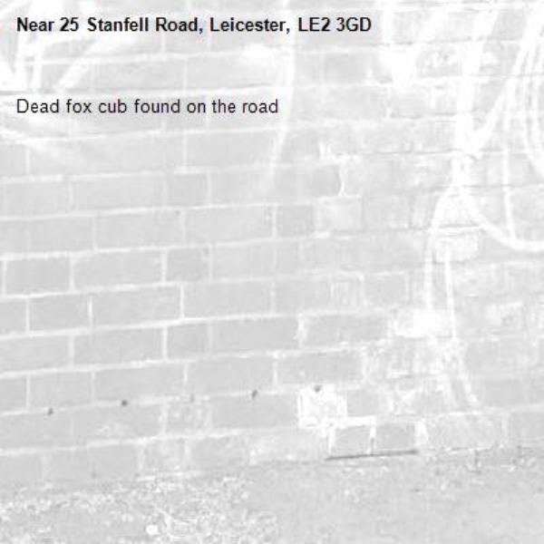 Dead fox cub found on the road-25 Stanfell Road, Leicester, LE2 3GD
