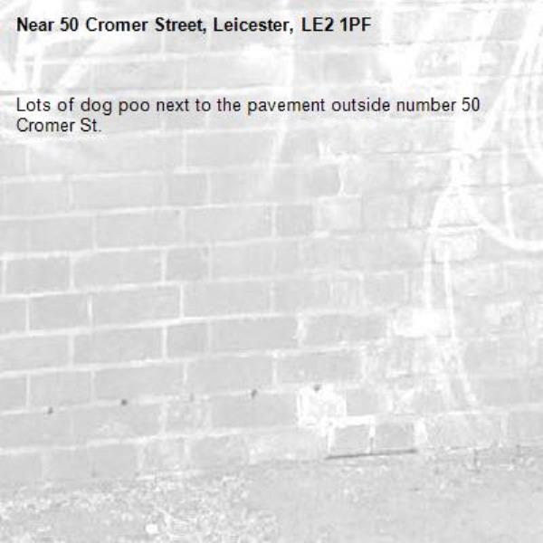Lots of dog poo next to the pavement outside number 50 Cromer St.-50 Cromer Street, Leicester, LE2 1PF