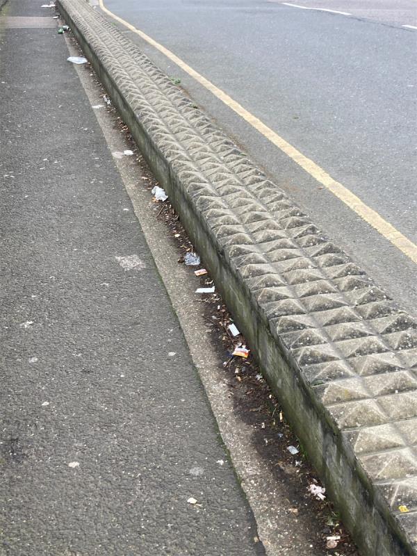 Litter getting worse along bridge pavements -17 Grangewood Street, East Ham, London, E6 1EZ