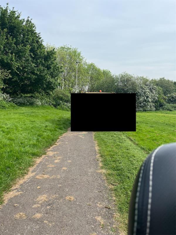 I spoke to a park worker today who said he had been told to drive in the park to strim around the bins. He blocked the path with his truck and said he can’t park off the path because he would sink but me being disabled on a mobility scooter is expected to go through long grass to get around him, it obviously doesn’t matter to him if I get stuck in a dip or mud. i asked why can he not go round the road because apart from one bin they are all situated on the entrance, he said he is only doing what-Forest Way, Leicester