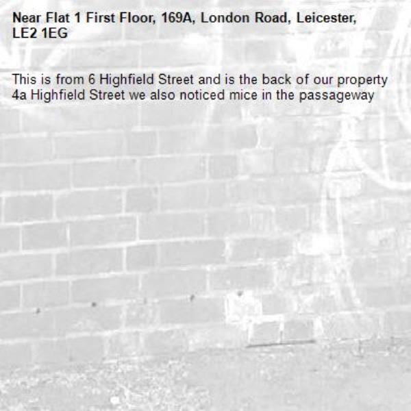 This is from 6 Highfield Street and is the back of our property 4a Highfield Street we also noticed mice in the passageway-Flat 1 First Floor, 169A, London Road, Leicester, LE2 1EG