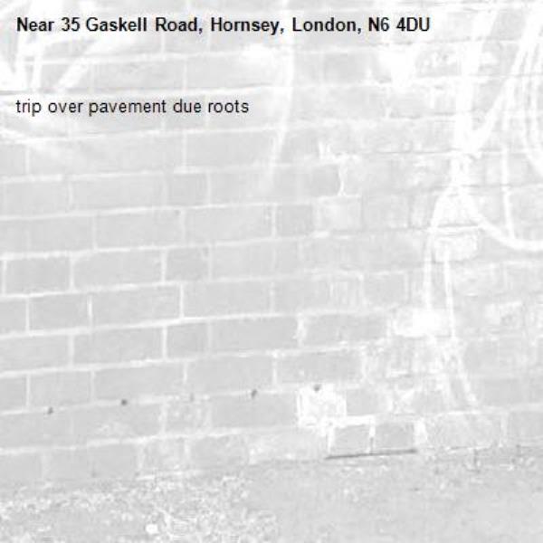trip over pavement due roots -35 Gaskell Road, Hornsey, London, N6 4DU