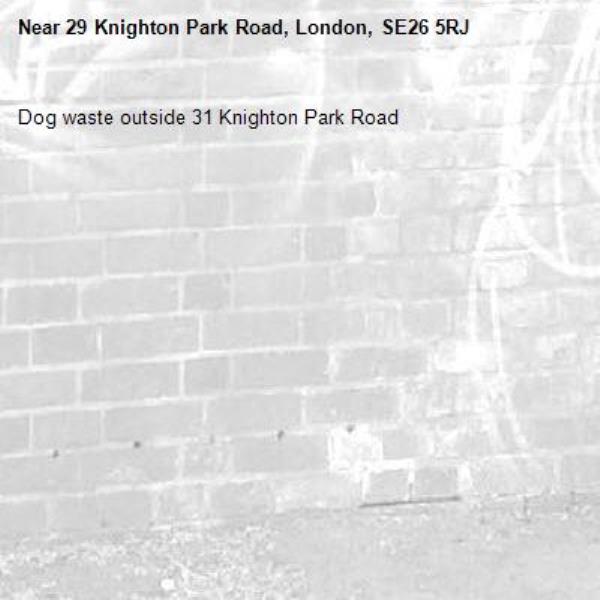Dog waste outside 31 Knighton Park Road -29 Knighton Park Road, London, SE26 5RJ