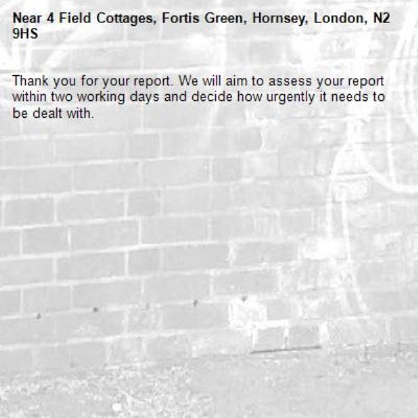 Thank you for your report. We will aim to assess your report within two working days and decide how urgently it needs to be dealt with.-4 Field Cottages, Fortis Green, Hornsey, London, N2 9HS