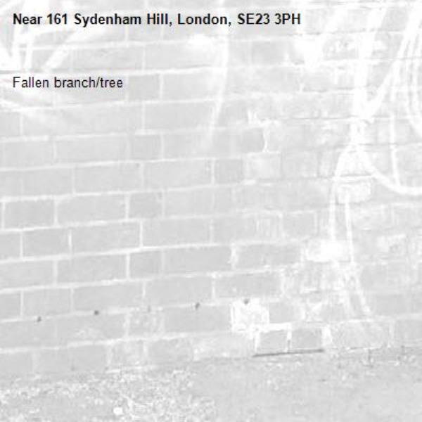 Fallen branch/tree-161 Sydenham Hill, London, SE23 3PH