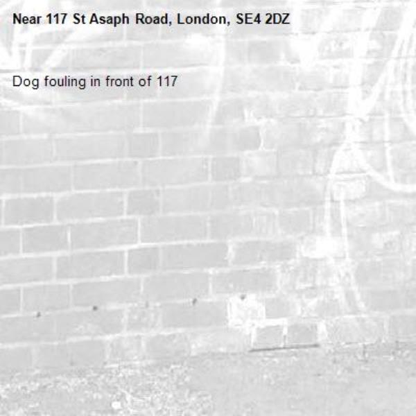 Dog fouling in front of 117-117 St Asaph Road, London, SE4 2DZ