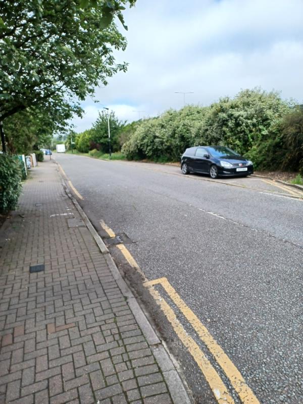 Can the council arrange for the Hedges  in Evelyn Dennington Road Beckton  to be pruned back. As you can see from the photo  they are in  a terrible condition. Thanks -49 Evelyn Denington Road, Beckton, London, E6 5YJ