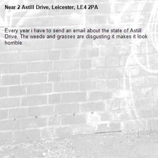 Every year i have to send an email about the state of Astill Drive. The weeds and grasses are disgusting it makes it look horrible. -2 Astill Drive, Leicester, LE4 2PA