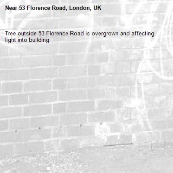 Tree outside 53 Florence Road is overgrown and affecting light into building.-53 Florence Road, London, UK