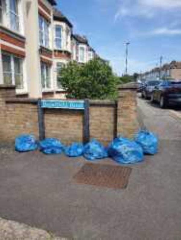 Please clear sweepers bags.
Reported via Fix My Street-180 Broadfield Road, London, SE6 1TH