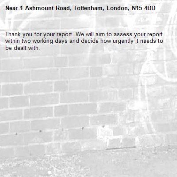 Thank you for your report. We will aim to assess your report within two working days and decide how urgently it needs to be dealt with.-1 Ashmount Road, Tottenham, London, N15 4DD