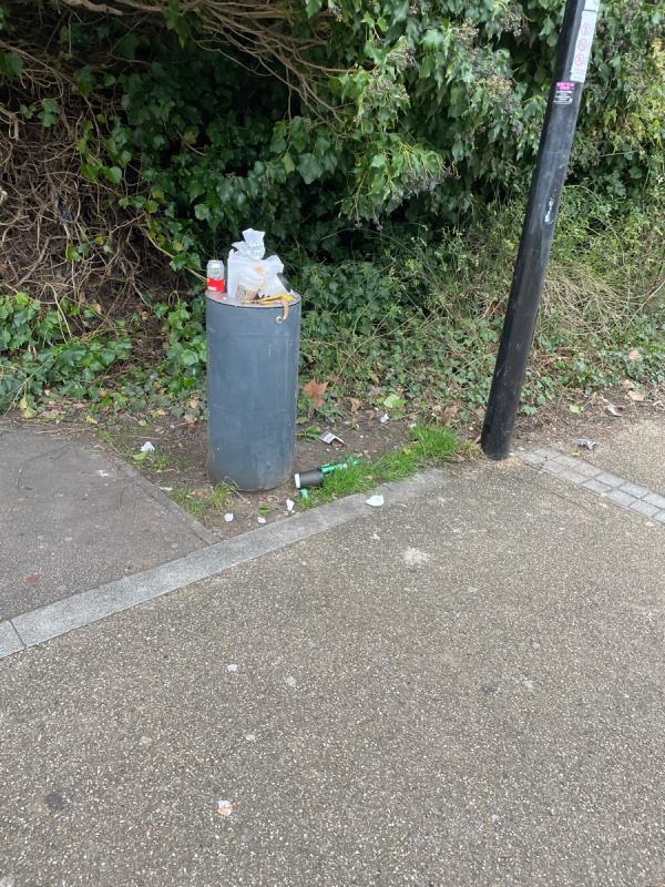 All the bins in the park are full-95 Douglas Way, London SE8 4BD, UK