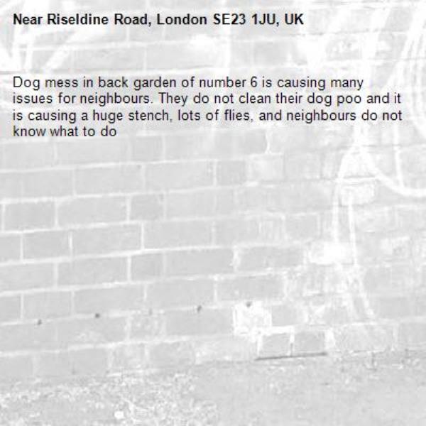 Dog mess in back garden of number 6 is causing many issues for neighbours. They do not clean their dog poo and it is causing a huge stench, lots of flies, and neighbours do not know what to do-Riseldine Road, London SE23 1JU, UK