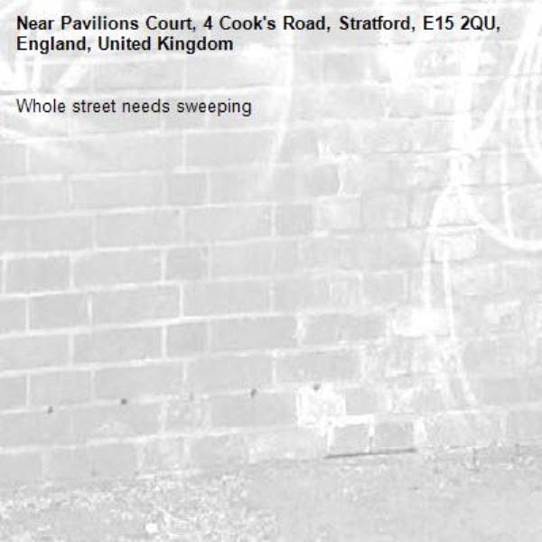 Whole street needs sweeping -Pavilions Court, 4 Cook's Road, Stratford, E15 2QU, England, United Kingdom
