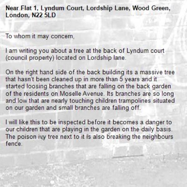 To whom it may concern,

I am writing you about a tree at the back of Lyndum court (council property) located on Lordship lane.

On the right hand side of the back building its a massive tree that hasn’t been cleaned up in more than 5 years and it started loosing branches that are falling on the back garden of the residents on Moselle Avenue. Its branches are so long and low that are nearly touching children trampolines situated on our garden and small branches are falling off. 

I will like this to be inspected before it becomes a danger to our children that are playing in the garden on the daily basis. The poison ivy tree next to it is also breaking the neighbours fence. -Flat 1, Lyndum Court, Lordship Lane, Wood Green, London, N22 5LD