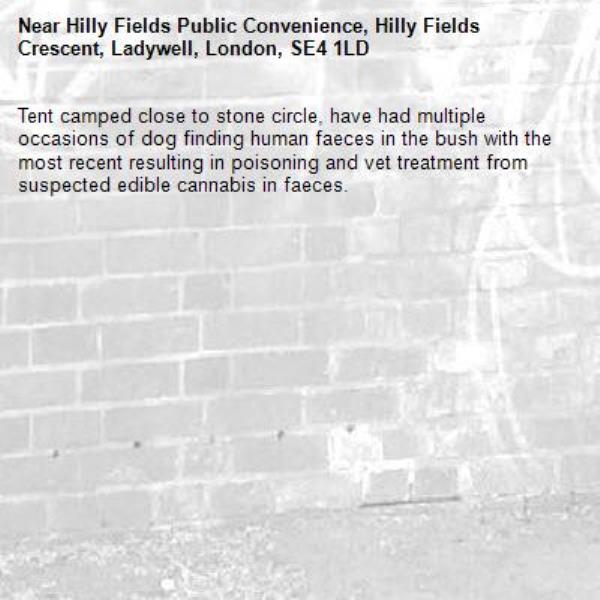 Tent camped close to stone circle, have had multiple occasions of dog finding human faeces in the bush with the most recent resulting in poisoning and vet treatment from suspected edible cannabis in faeces.-Hilly Fields Public Convenience, Hilly Fields Crescent, Ladywell, London, SE4 1LD