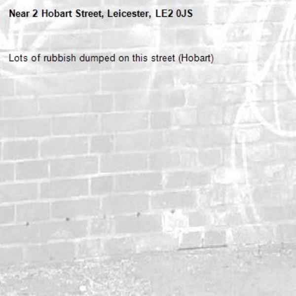 Lots of rubbish dumped on this street (Hobart)-2 Hobart Street, Leicester, LE2 0JS