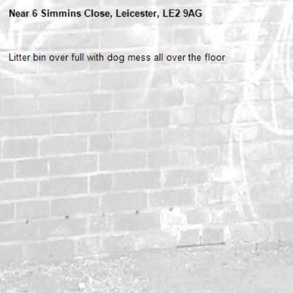 Litter bin over full with dog mess all over the floor -6 Simmins Close, Leicester, LE2 9AG