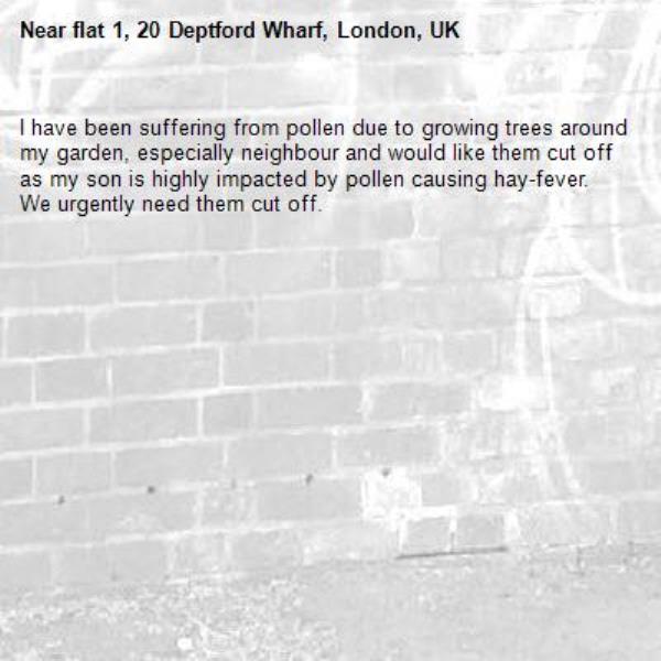 I have been suffering from pollen due to growing trees around my garden, especially neighbour and would like them cut off as my son is highly impacted by pollen causing hay-fever.  We urgently need them cut off.-flat 1, 20 Deptford Wharf, London, UK